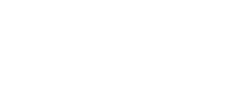 logo-white